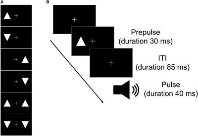 Effect of Visuospatial Attention on the Sensorimotor Gating System